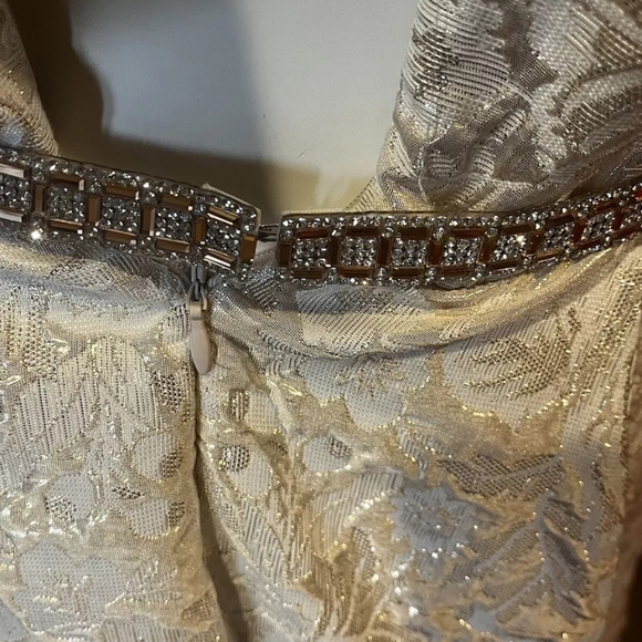 Aspeed Shimmery Champagne Floral Brocade Sleeveless Gown NWT Size Small - Picture 7 of 16